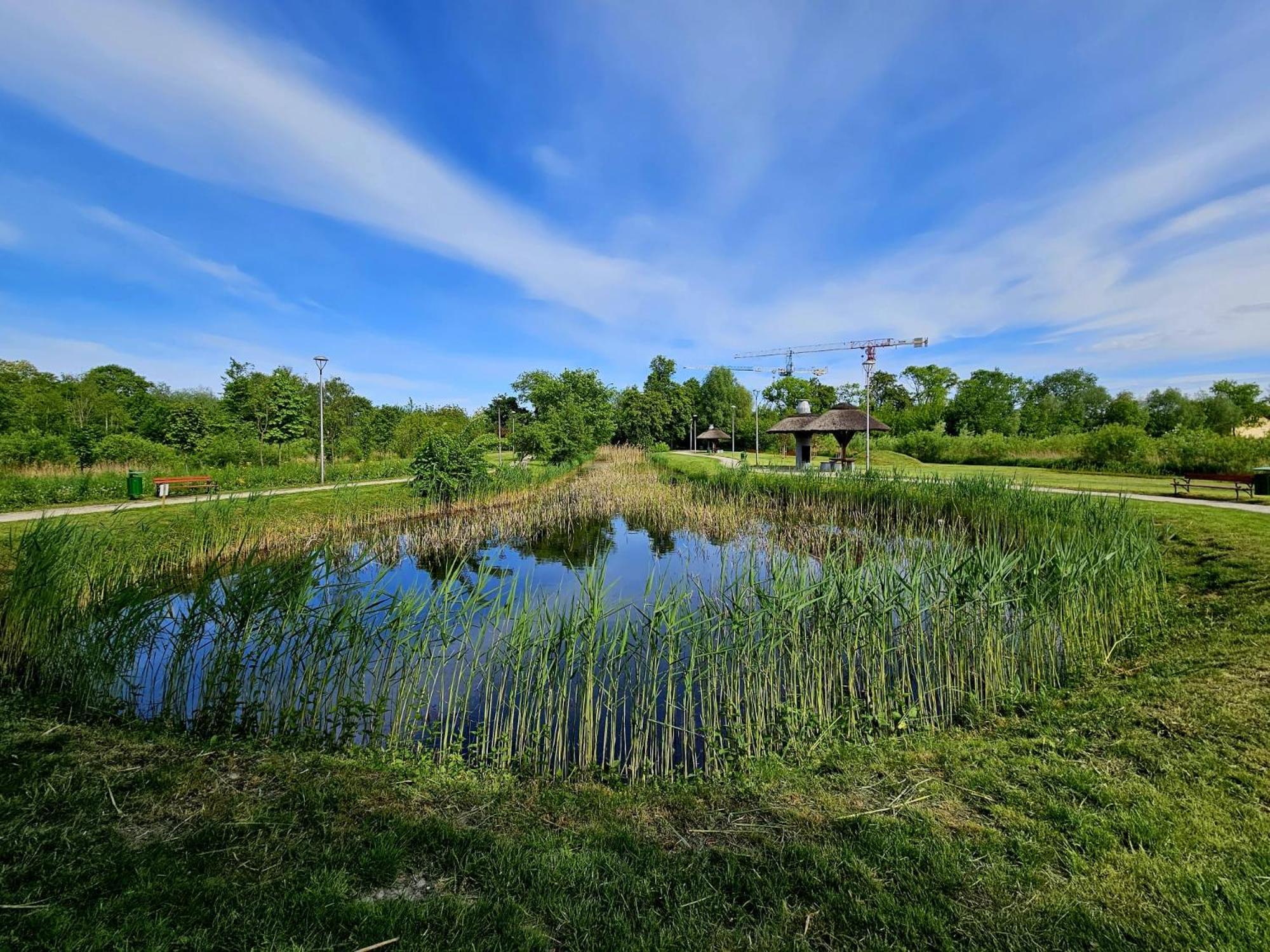 Countryside Studio Borzecin Duzy Exterior photo